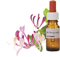 honeysucklebottiglietta