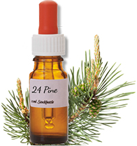 pine